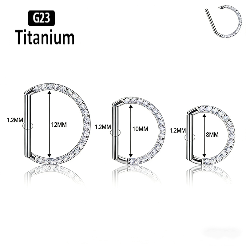 G23 Titanium Hinged Segment No - огляд і ціна Rook Curved Barbell